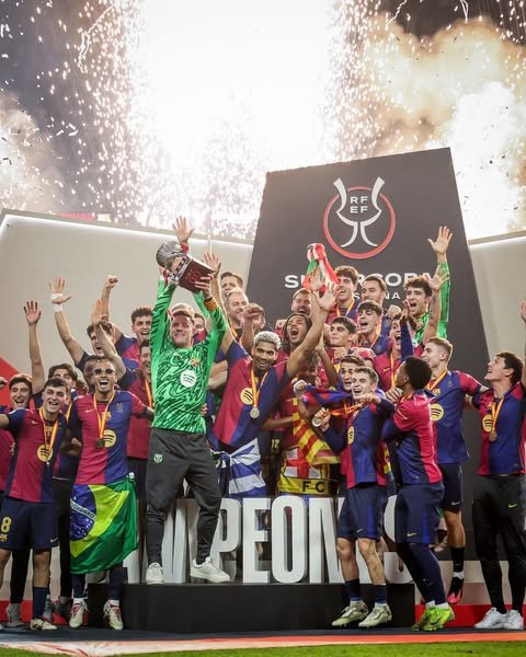 里昂强势巴萨，博格巴一己之力扛起全队的简单介绍