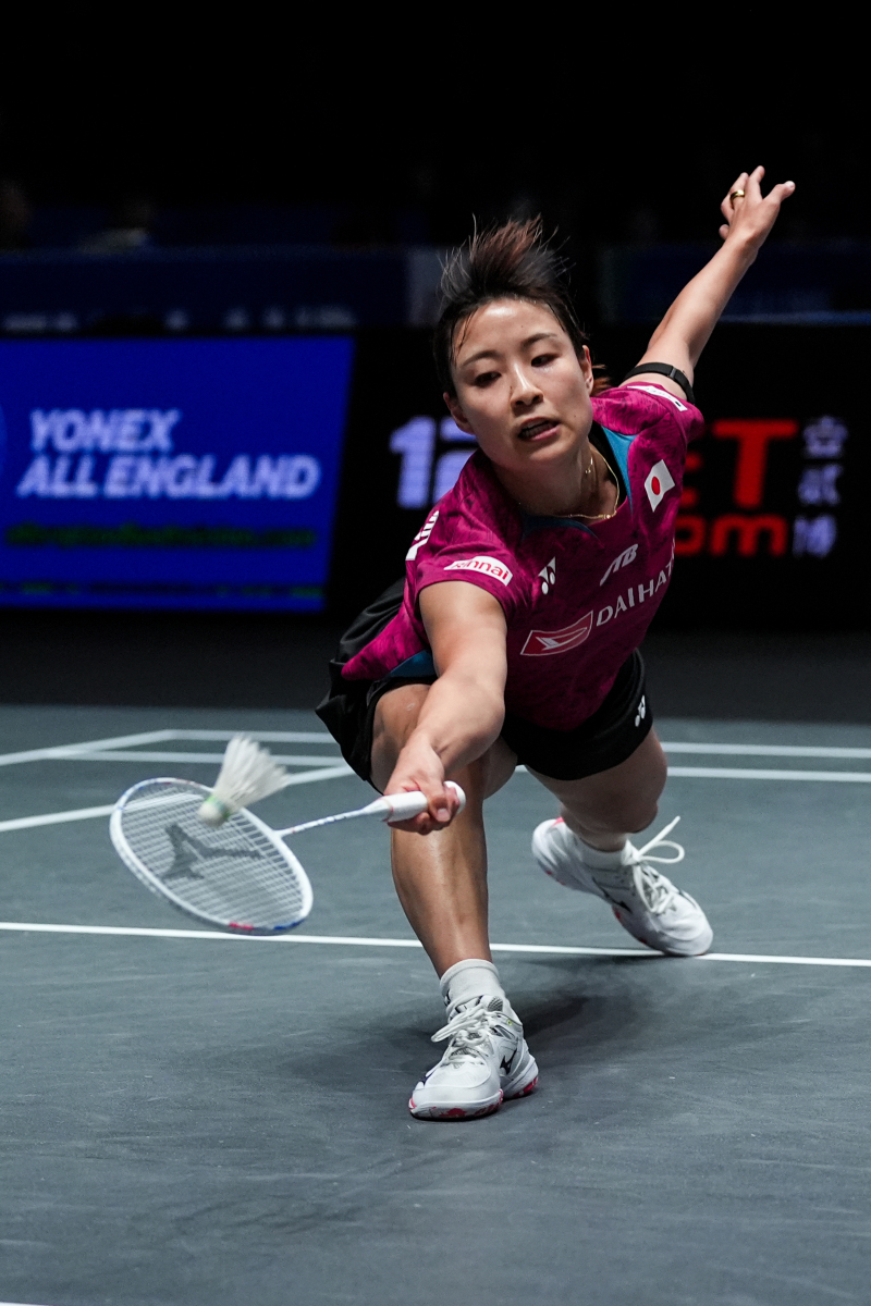 法国羽毛球队横扫印度羽毛球队，戴资颖打破历史纪录的简单介绍