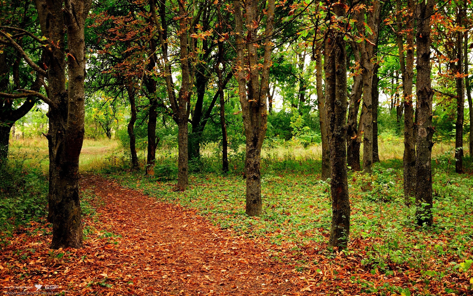 马刺轻取雷霆，英格拉姆的蜕变之夜，如何成为关键先生？